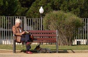 Woman reading on park bench cropped